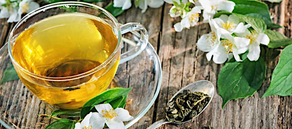 Beneficios del té verde en ayunas, por la noche y en general